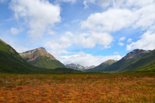 And a peat bog of ombrotrophyyyy! This one is in Patagonia.