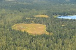 An Alaskan peatland from the air!