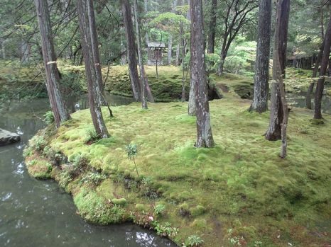 Saihô-ji Temple moss garden (photo: Yanagin33 via Wikimedia Commons)