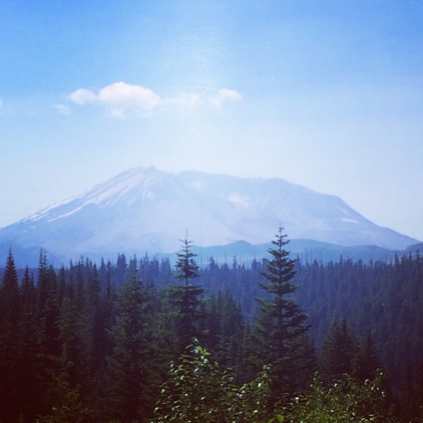 A view of Mt St Helens from the blast zone.